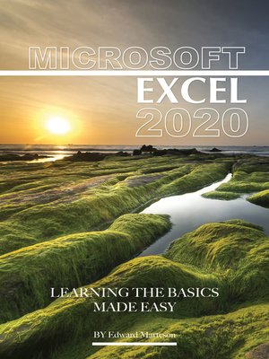 cover image of Microsoft Excel 2020